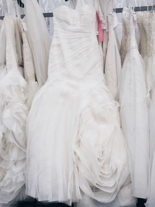 The DC Darlings x David's Bridal - Wedding Dress Shopping