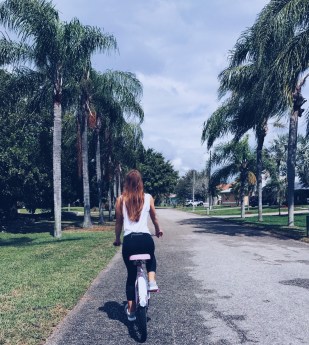 DC Darlings Sanibel Guide